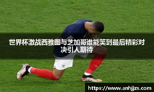 金沙集团1862cc成色